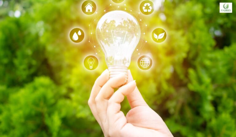 California Energy Efficiency Programs