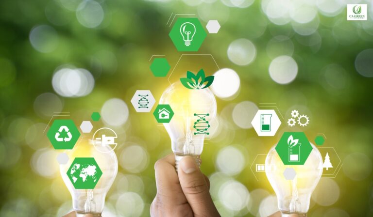 Commercial Energy Audit Process