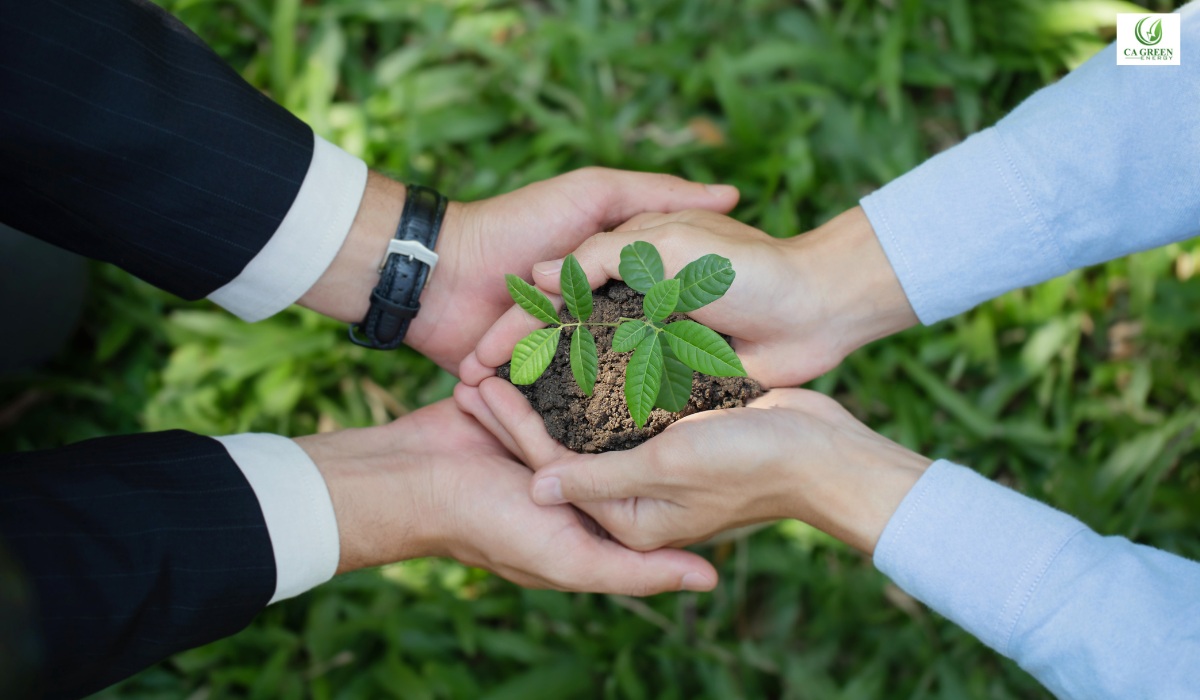 Energy-Saving Upgrades for Increased Efficiency