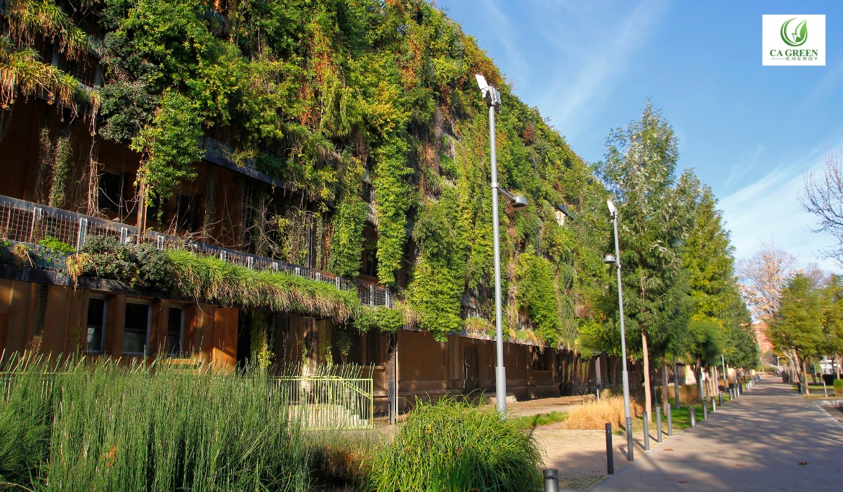 Environmental Sustainability with Solar Energy