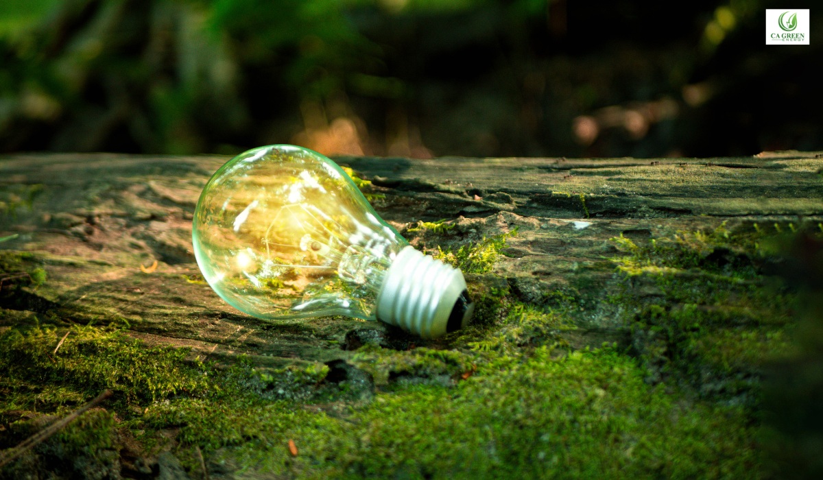 Environmental Sustainability Through Energy Audits