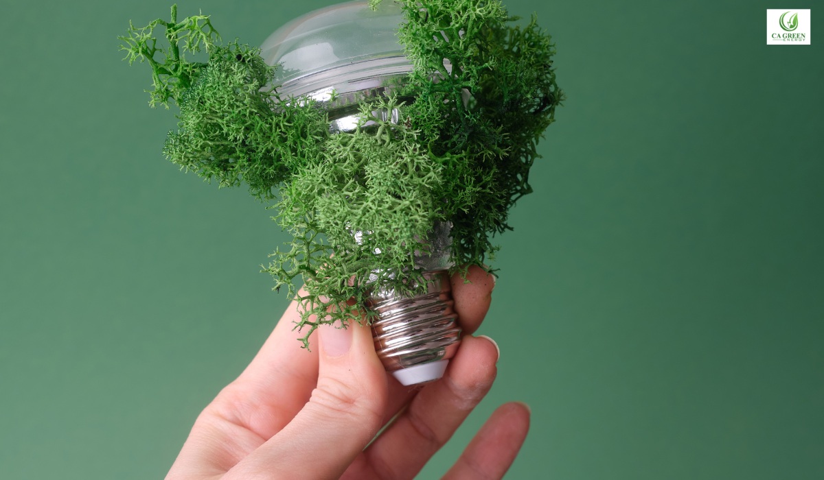 Green Energy Incentives in California