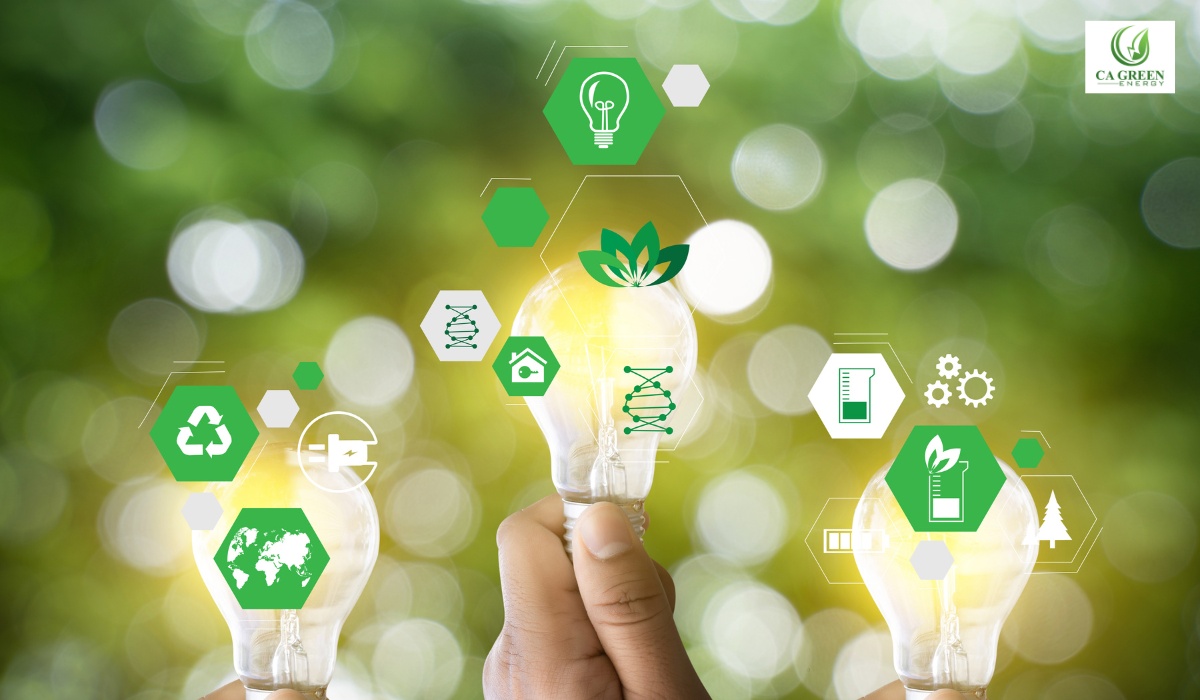 Green Energy Innovation and Competitiveness