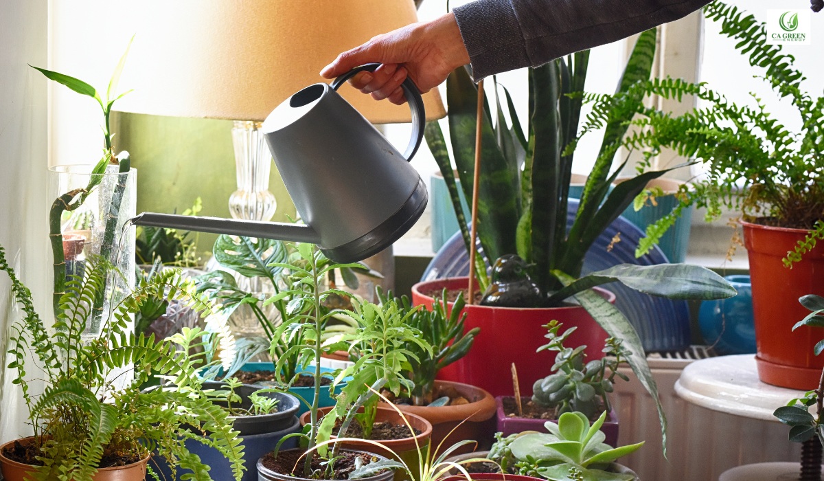 Healthy indoor environment