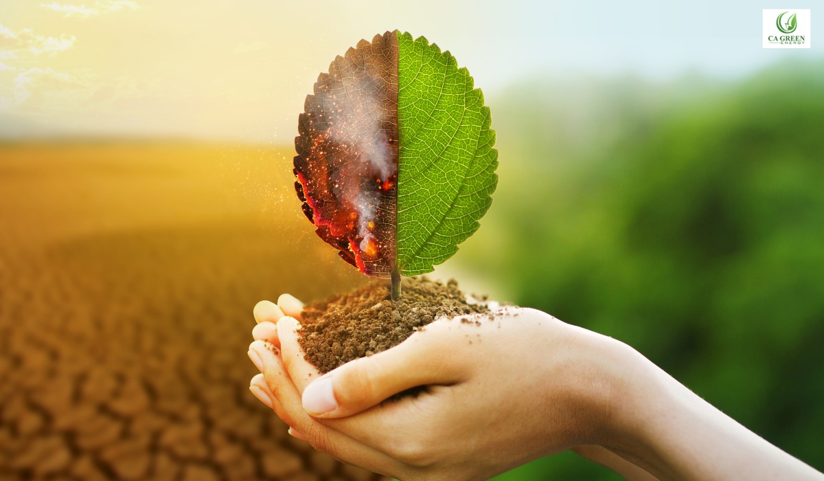 Positive Environmental Impact