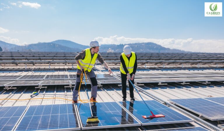 solar panel cleaning services
