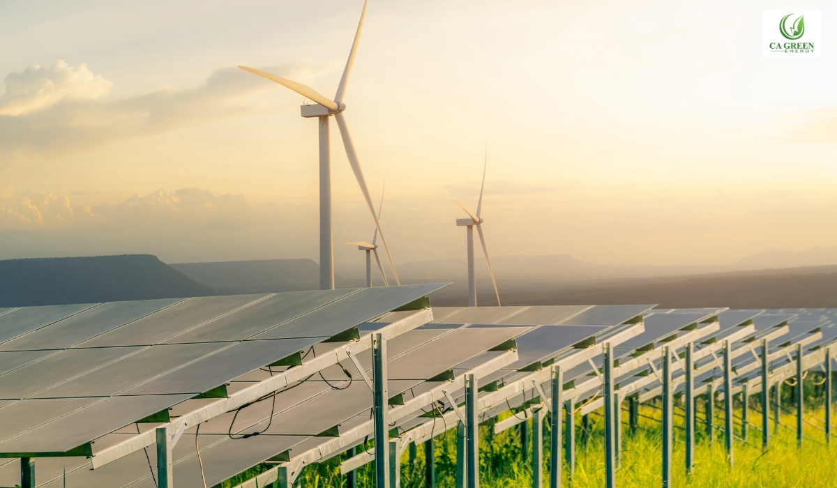 Affordable Solar Panels for Homes and Businesses