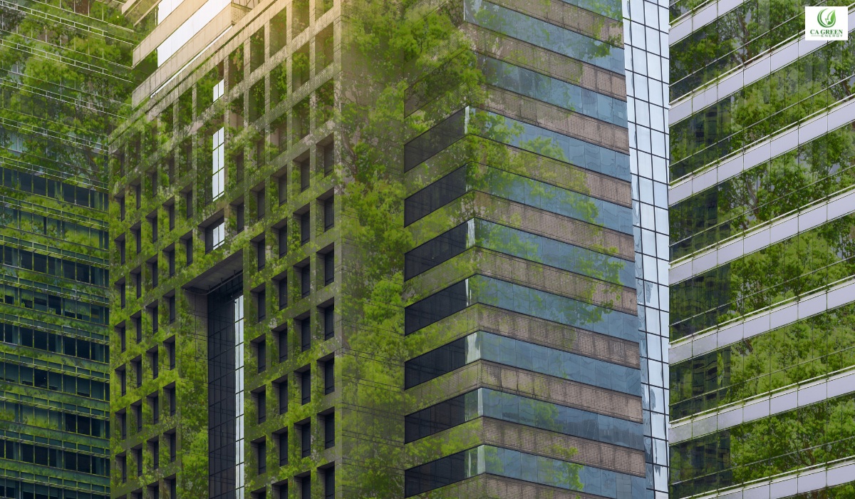 Sustainable Building Practices