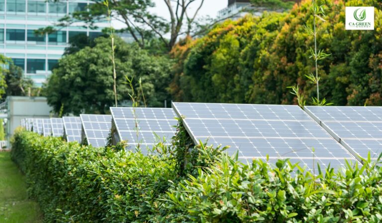 Transitioning to a green Energy Sector