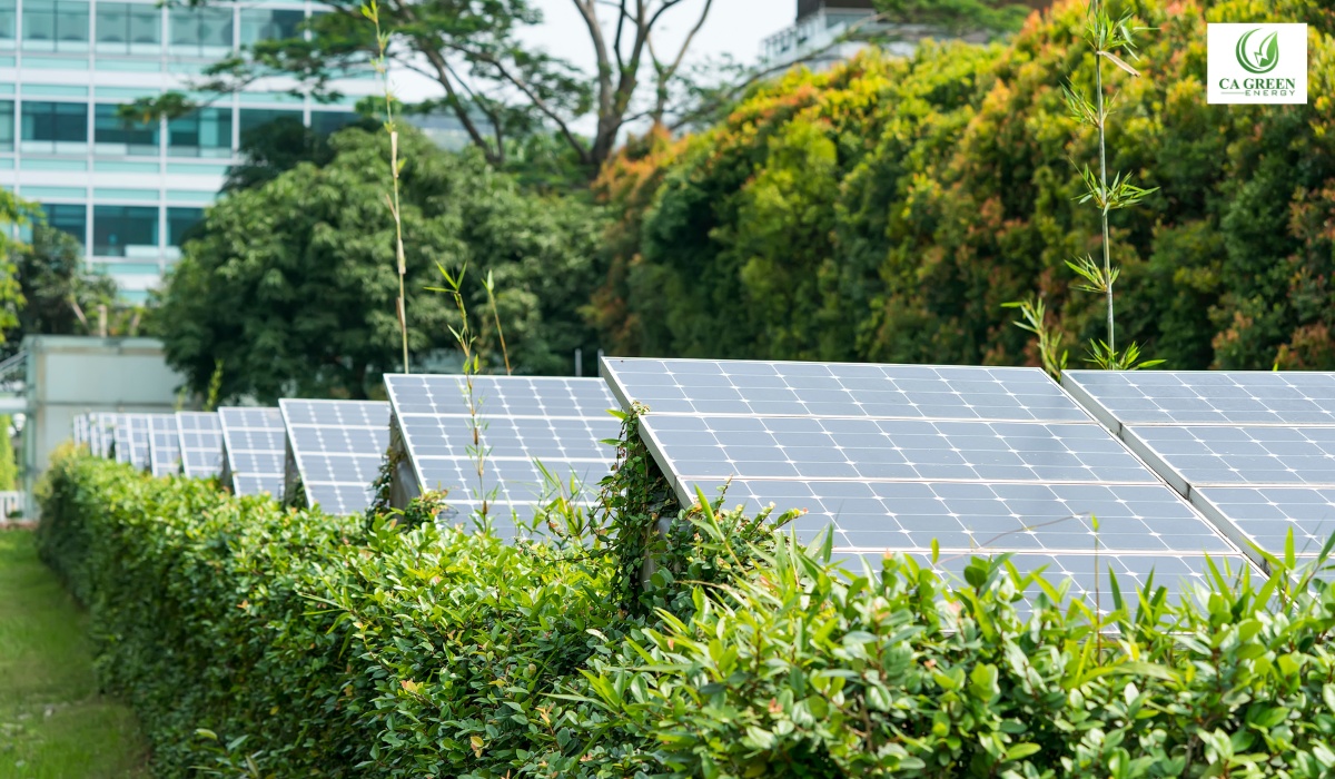 Transitioning to a Sustainable Energy Sector