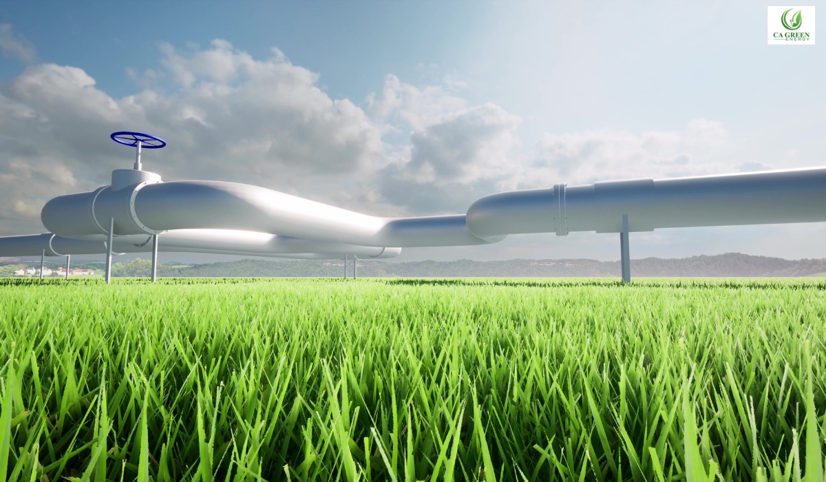 Sustainable energy solutions for California homes